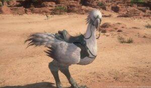 Esto es un chocobo