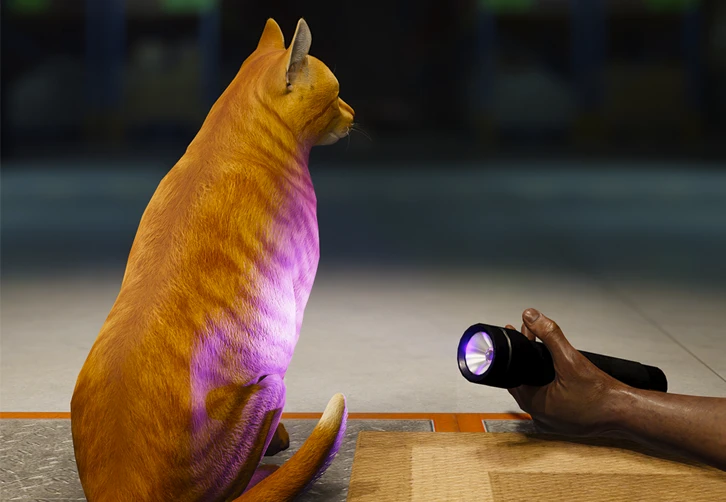 order 13 indie terror gata jandusoft