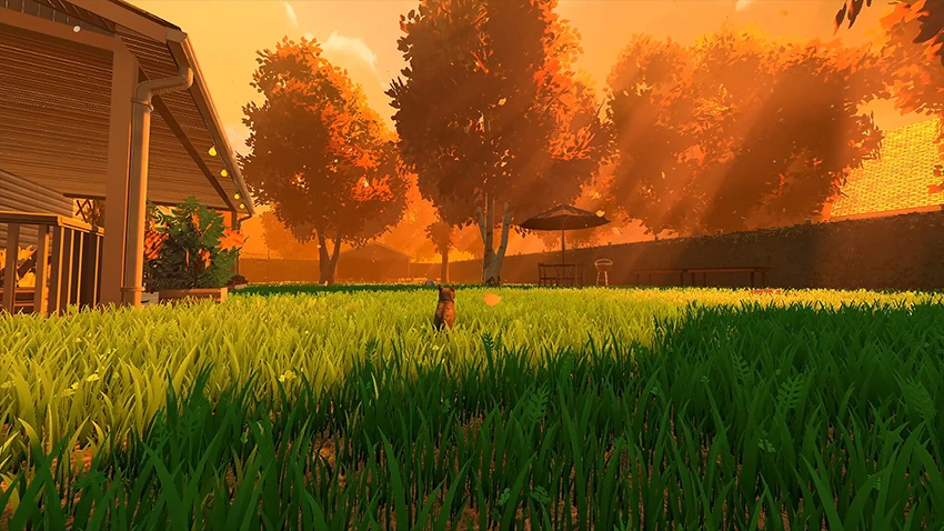 Copycat la aventura felina que emociona más que juega 2