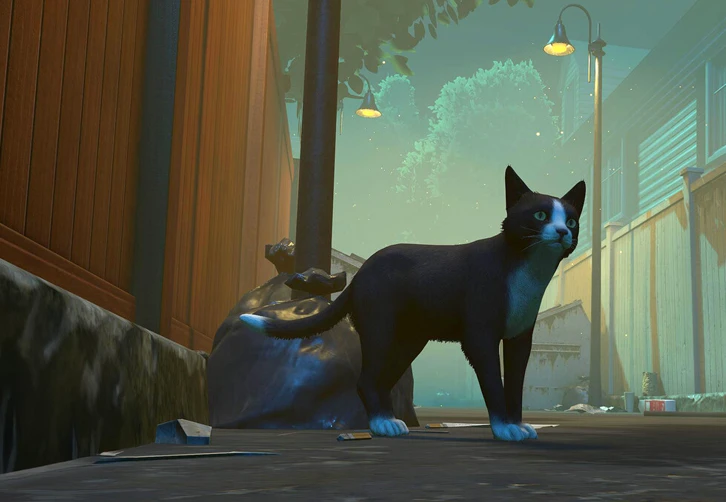 Copycat: la aventura felina que emociona más que juega